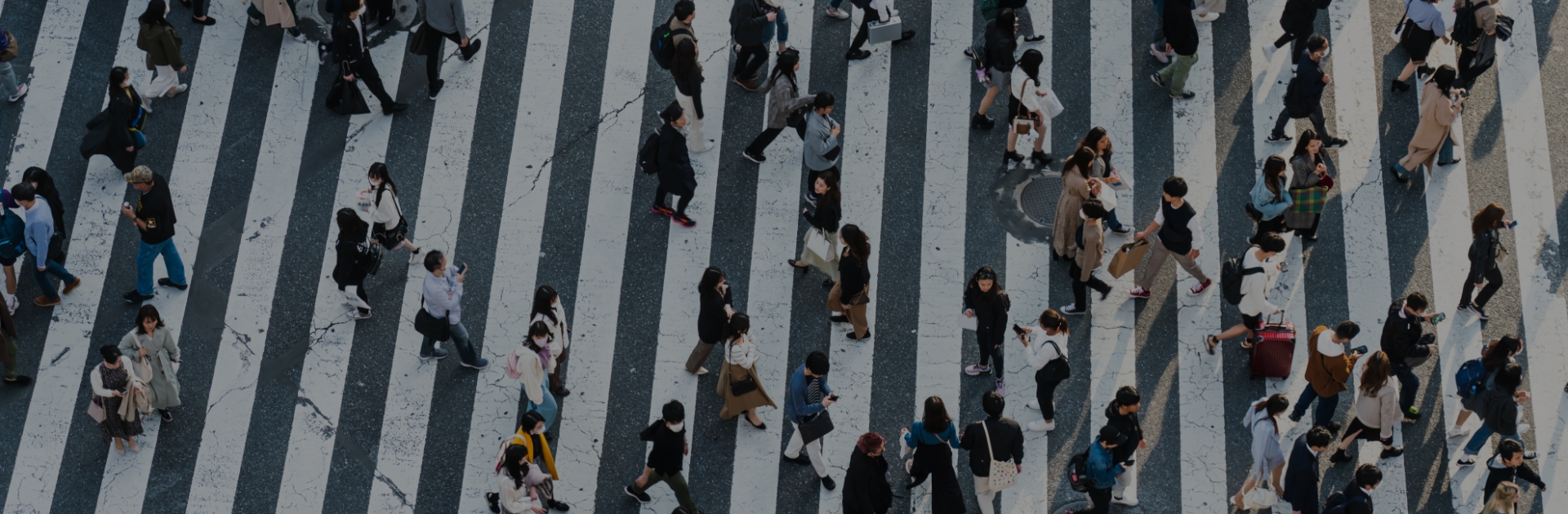 実践的マーケティングサイエンスが、お客様のデータから戦略と施策を生み出す。